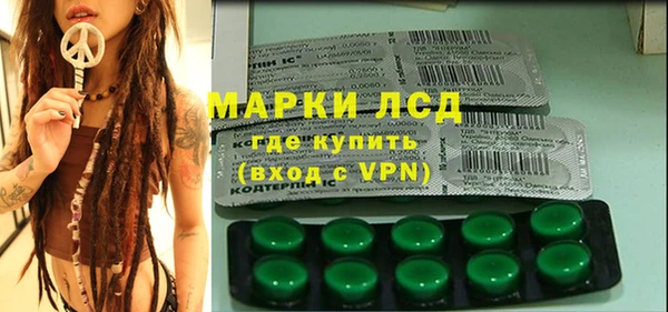 apvp Алзамай