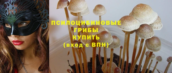apvp Алзамай